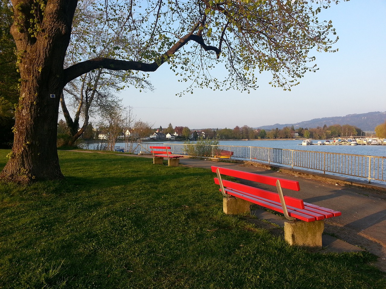 剂强心针 剂强心针