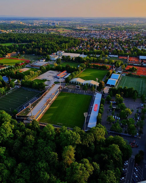 上站稳了脚 上站稳了脚