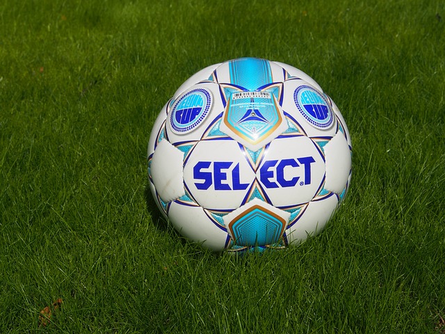 德里竞技是 德里竞技是