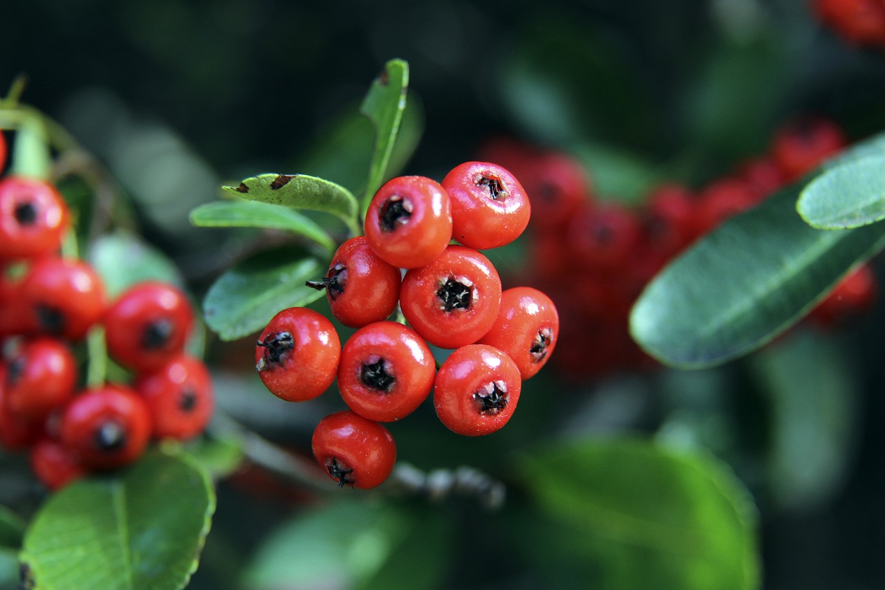 在与强队的 在与强队的